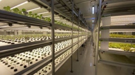 띵동, 삼시세끼 먹을 채소 모종이 도착했습니다