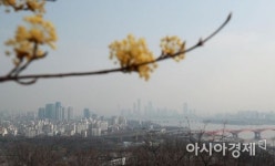 [포토] 미세먼지·황사가 앗아간 봄
