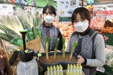 [포토] “대파, 이제는 집에서 길러 먹어요”