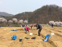 서울시, 함께서울 친환경농장 6800구획 10일 일제 개장