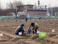 서울시, 함께서울 친환경농장 6800구획 10일 일제 개장