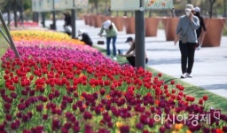 [포토] 2021 서울식물원 봄꽃 전시