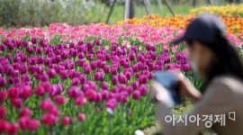 [포토] 화사한 봄