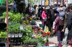 [포토] 모종 구매하는 시민들