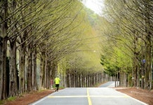 [조용준의 여행만리] 울긋불긋 산벚꽃, 연둣빛 신록 아래 자발적 고립