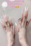 반려견 발톱에 네일아트?…너무 예뻐 VS 동물학대