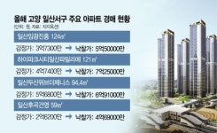일산 집값 뛰자 경매시장도 ‘후끈’… 10년 미분양 ‘탄현 제니스’도 90채 팔려