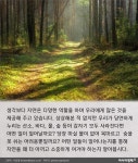 [카드뉴스](환경의날 특집) 당연히 있어야 할 00가 내일 사라진다면?