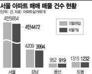 서울 아파트 6월 매물잠김 현실화…강남 열흘새 200건 증발