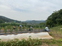 순천시, 본격적 영농시기 맞아 일손부족 해소에 앞장서