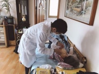 곡성군, 내 집에서도 한방진료 받는다