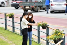 [포토] 화사한 꽃으로 눈길 사로잡아