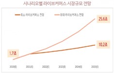 라방 시장 급성장하자 … TV 생방송 넘나드는 T커머스