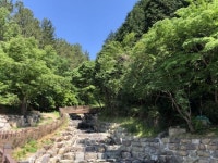 자연휴양림 ‘사천 케이블카’ 8월 개장