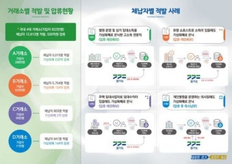 경기도, 의사 등 악성 체납자 '가상화폐' 530억 압류…역대 최대