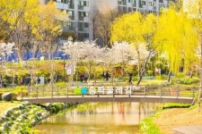 21km 송파둘레길 완성...50년 만에 주민 품으로!