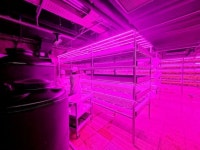 [르포]남부터미널 밑에 펼쳐진 2000평 농장…새벽배송될 채소 ‘한가득’