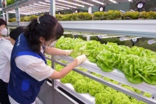 [포토] 농협 하나로마트, 스마트 팜으로 선진 농업 알려요
