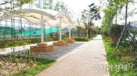 포항시, 우현~효곡동 철길숲→연일읍까지 상생 숲길로 문화공간 확대