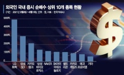 셀코리아 외인, 2차전지는 담았다