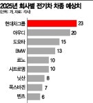 현대차그룹 2025년에는 전기차 다양성 1위 회사 될듯
