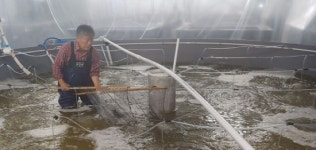 경북 상주 내륙서 맛·영양 식단의 진미 ‘바다새우’ 양식 성공
