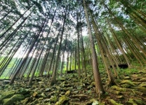 [조용준의 여행만리] 폭포소리에 시름 떨쳐내고~ 공기마을 편백숲, 맑은 공기 마음껏~
