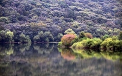 [조용준의 여행만리] 폭포소리에 시름 떨쳐내고~ 공기마을 편백숲, 맑은 공기 마음껏~
