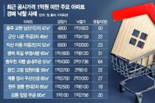 겹규제에 공시가 1억 미만 아파트 경매 ‘광풍’… 30년 넘은 지방 단지에 50명 몰려