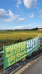 [르포]염전마을 뒤덮은 태양광…염전 40만평 중 25만평 사라져