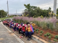 함평군 ‘도시민이 찾아오는 억새 정원’ 조성…청청 함평 이미지 구축