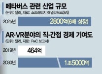 미래와 미몽사이, 메타버스