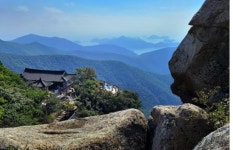 [조용준의 여행만리]기도빨 좋은 남해 금산에 고릴라가…절경이 무려  38개