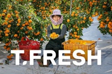 티몬, 제주에 전용농장 구축하고 제철과일 감귤 판매