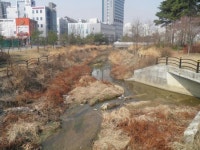 중랑구 묵동천 사계절 맑은 물 흐르는 자연형 생태하천으로 복원