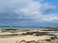 제주시 세화 해상서 조업 중 사라진 70대 해녀 긴급 구조