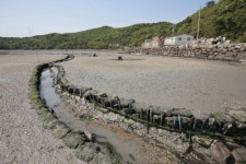 전통어로 방식 갯벌 어로 국가무형문화재 지정