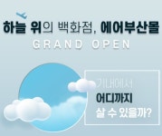 “뭐? 하늘서 자동차 렌탈 계약했다고” … 에어부산, 쇼핑몰에 중개서비스까지