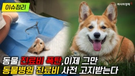 [이슈정리] 동물 진료비 폭탄, 이제 그만…동물병원 진료비 사전고지 의무화