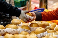 [포토]명절 앞둔 청과시장