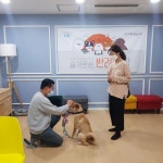 노원 댕댕하우스’ 신규 교육체험 프로그램 운영...도봉구, 연간 유기동물 발생건수 절반으로 줄어