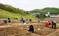 중랑행복농장 텃밭 265구좌·배나무 25그루 분양...   영등포구, 어린이집 신속항원검사키트 13만 개 지원