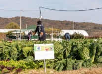 도심 속 자연 힐링!...중랑구 ‘도시농업 복합공간’ 착공