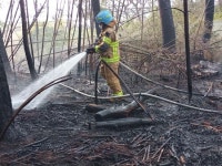 광주 서부소방서, 용두동 산림인접마을 인근 화재 진화