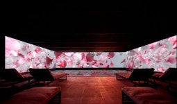 봄꽃과 함께 스파를 파라다이스호텔·리조트, 프로모션 시작