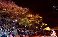 도봉구 창동 국내 최초 음악 전문공연장 서울아레나 본격화...2022 벚꽃 어게인