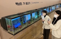 갤러리아백화점, 비디오 아티스트 거장 백남준과 만남