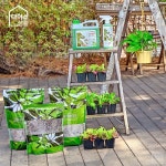 아성다이소, 원예용품 대전…“모종부터 화분까지”