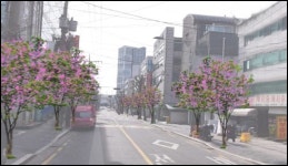 광진구 구의로 ‘산딸나무 특화거리’ 조성...송파구, 새활용센터 ECO 캠페인 벽화 조성