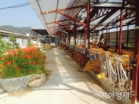 경기도, 깨끗한 축산 농장 추진… 2025년까지 2000곳 지원